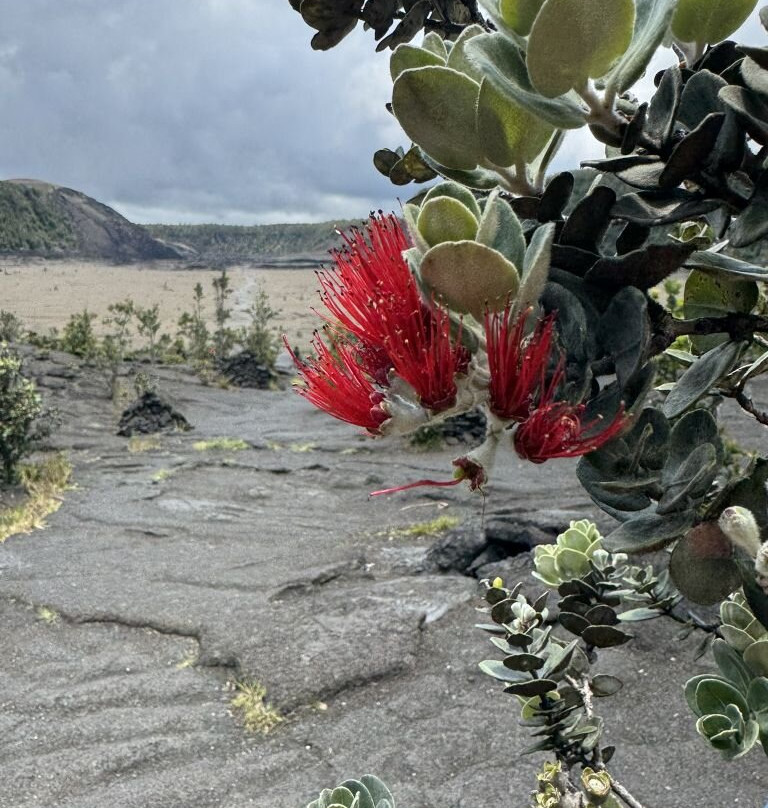 基拉韦厄火山山道-夏威夷火山国家公园必去景点