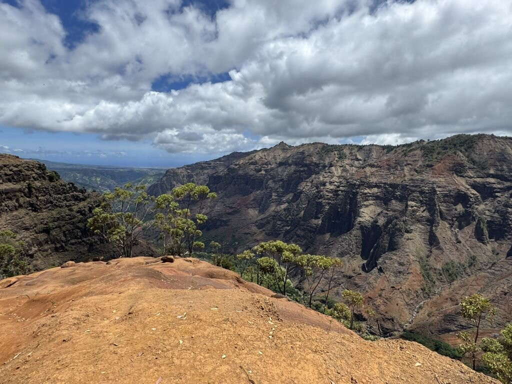 Iliau Nature Loop Trail-威美亚必去景点