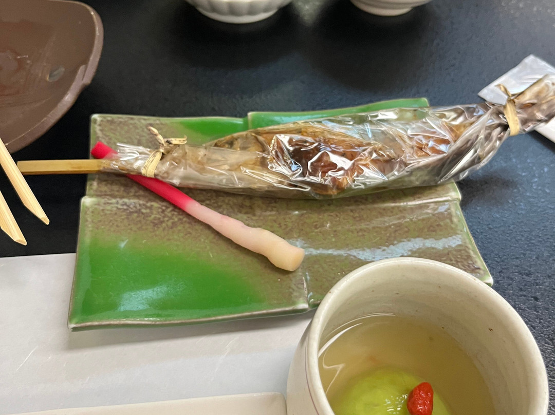 山王山温泉 瑞泉郷主图