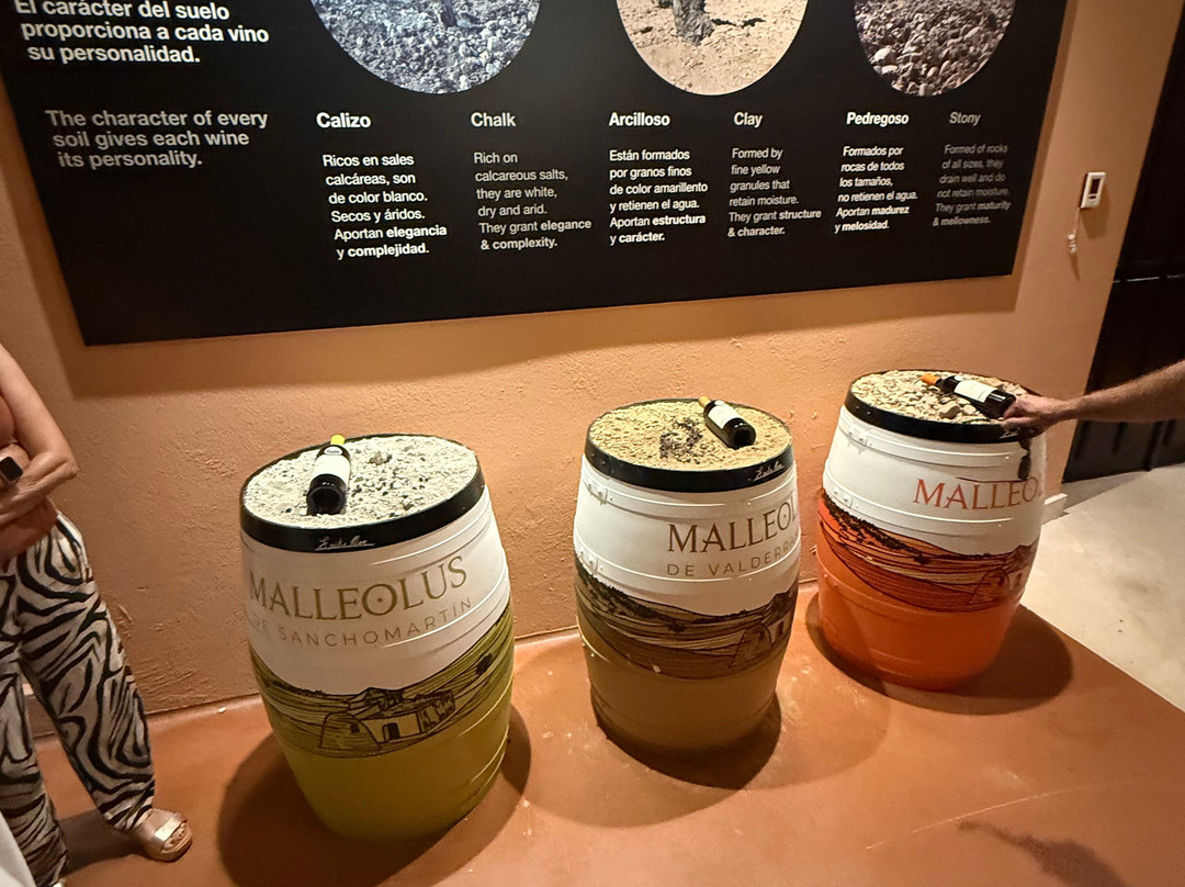 Emilio Moro Bodegas-Pesquera de Duero必去景点