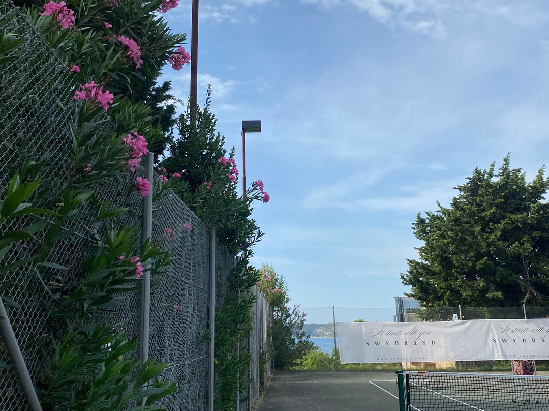 Tennis Club Hari-波多若斯必去景点