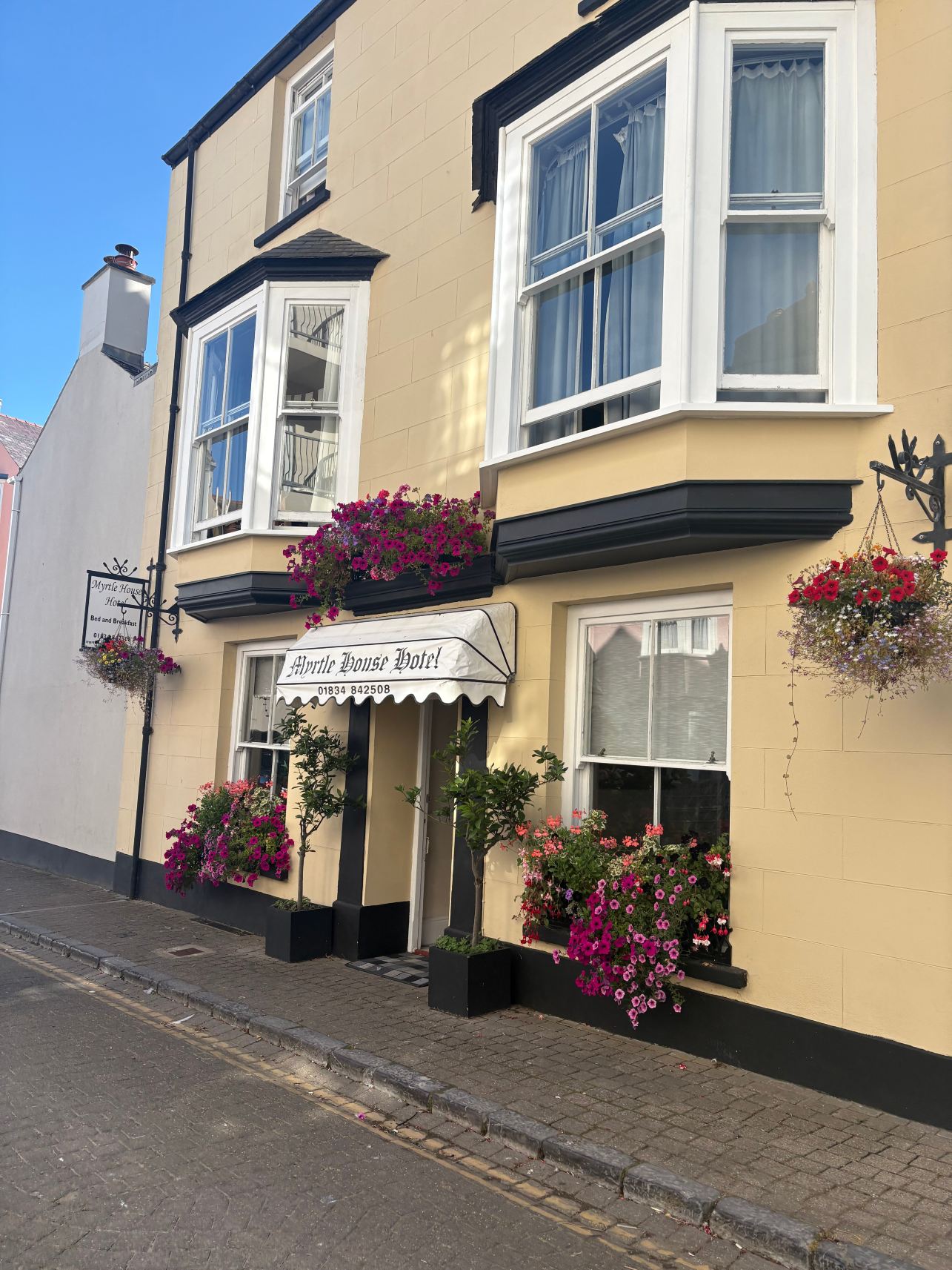 Myrtle House Hotel-旅行者