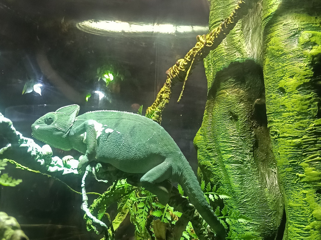 The National Aquarium Abu Dhabi-阿布扎比必去景点
