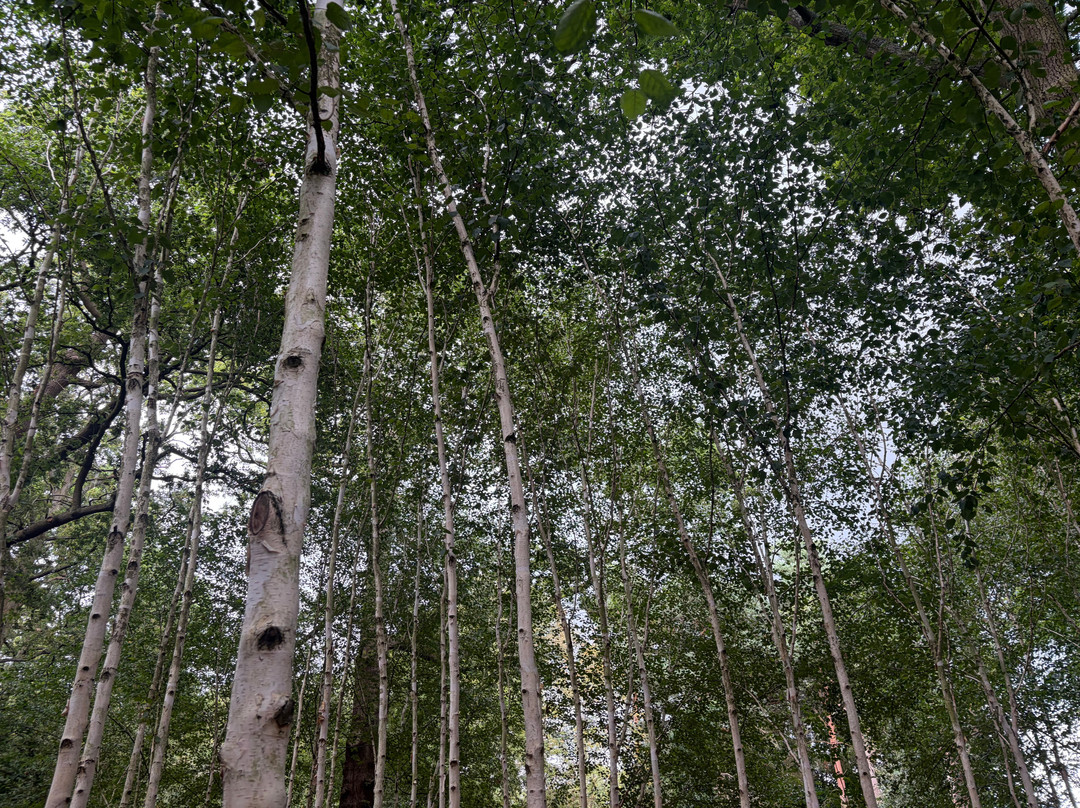 邓纳姆梅西庄园和花园-奥特林厄姆必去景点