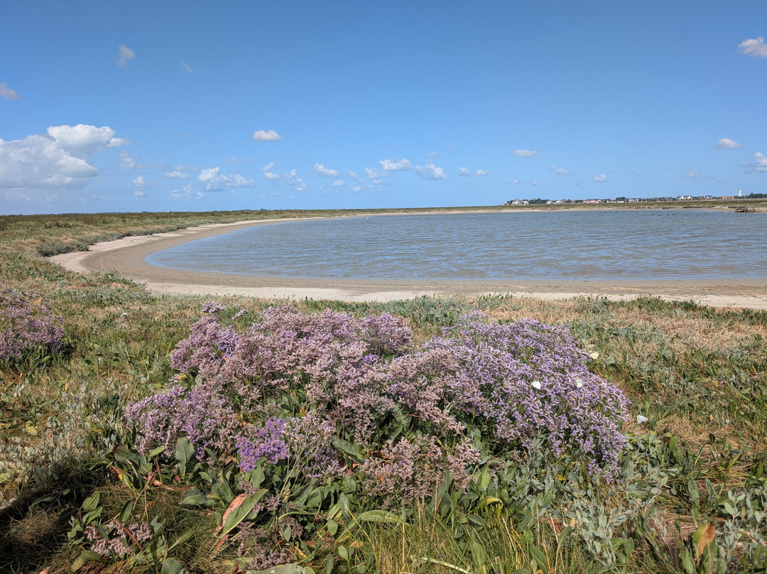 Passion Baie de Somme-Le Crotoy必去景点