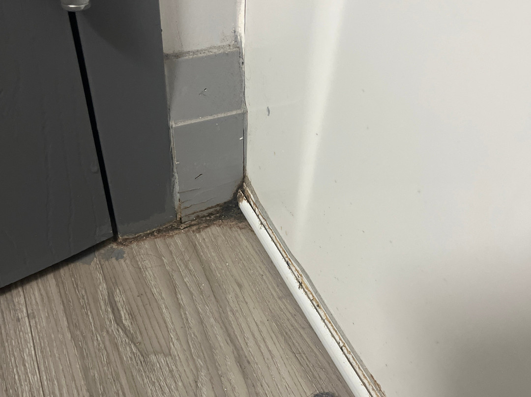 舒适酒店主图