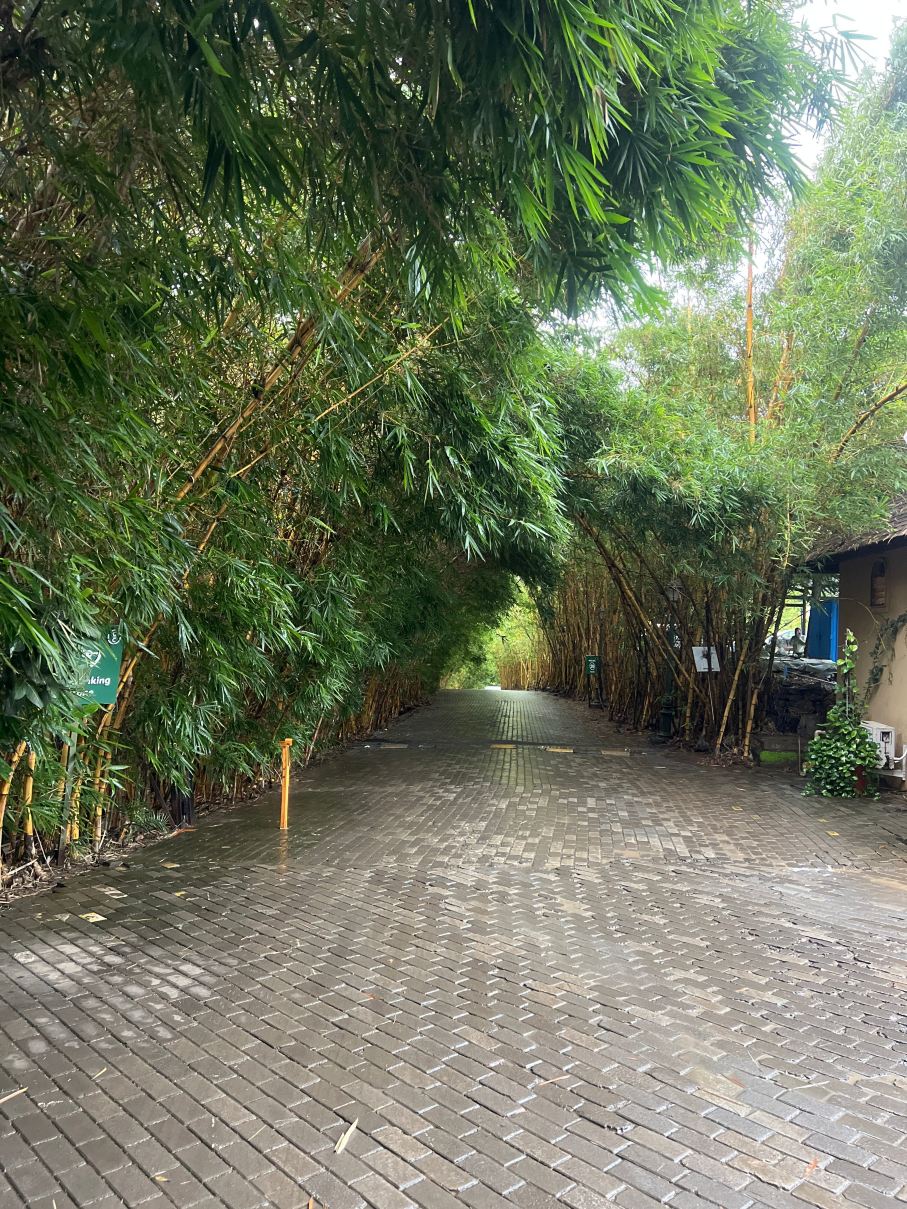 葡萄小镇生态度假村-旅行者