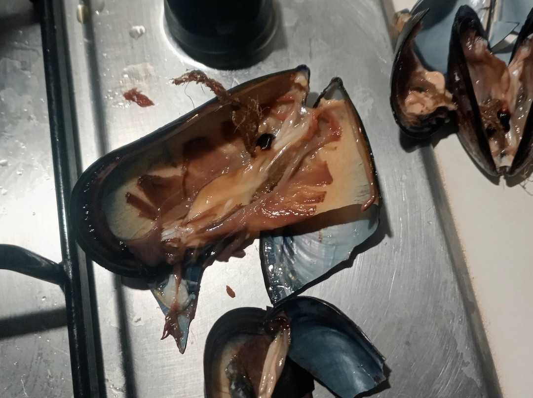 Pescheria Gelopesca Di Alessandra Marchi