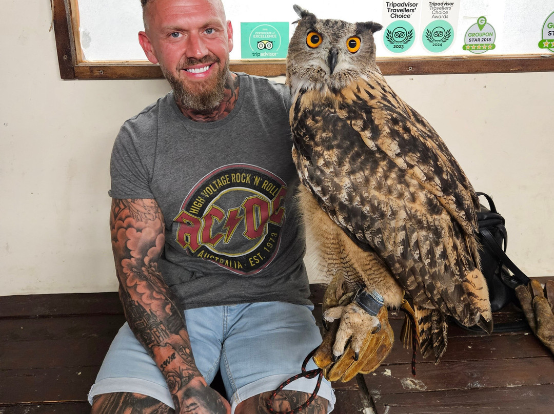 Riverside Falconry-纽卡斯尔必去景点