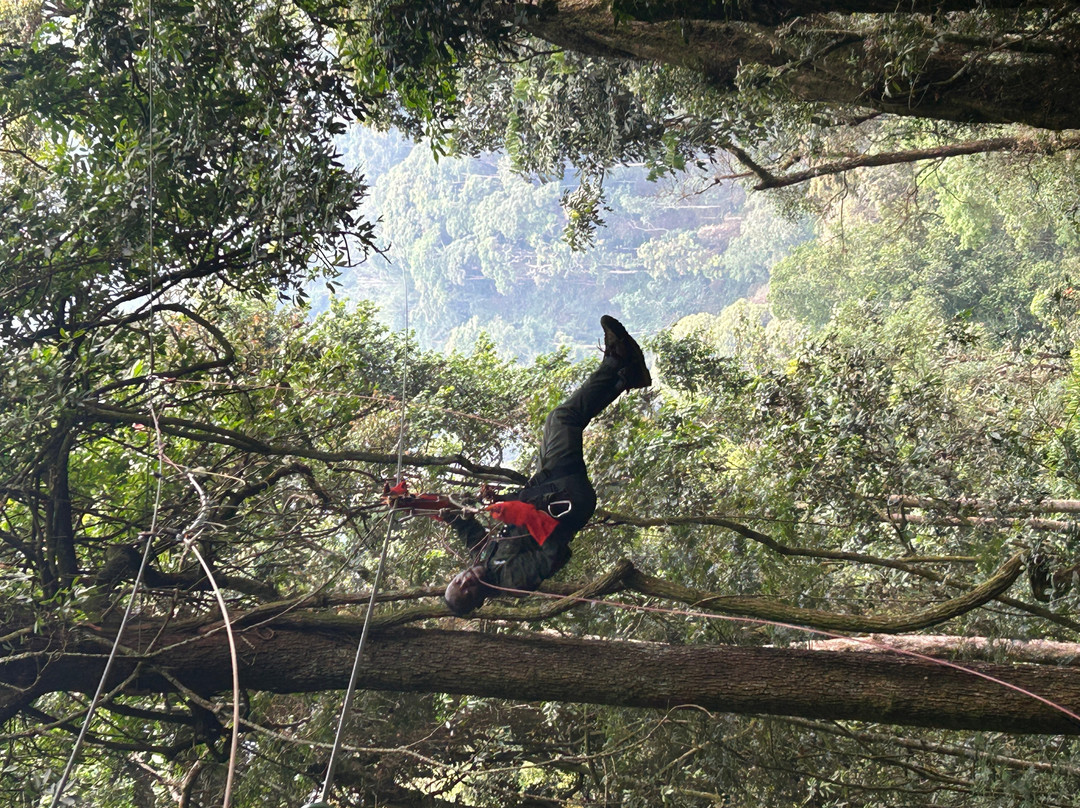 Nyungwe National Park - Rwanda-Western Province必去景点