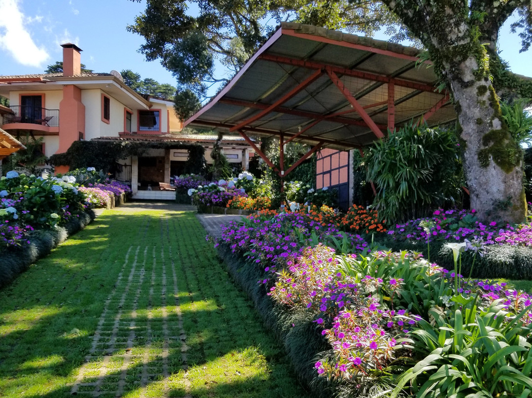 芬卡圣何塞机场芬卡帕拉伊索住宿加早餐旅馆