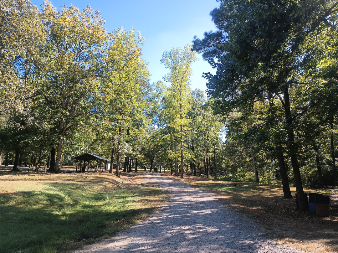 Arrowhead Cabin and Canoe Rental-Caddo Gap必去景点