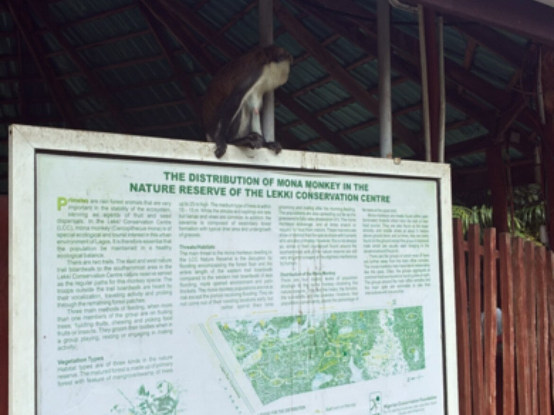 Lekki Conservation Centre-拉哥斯必去景点