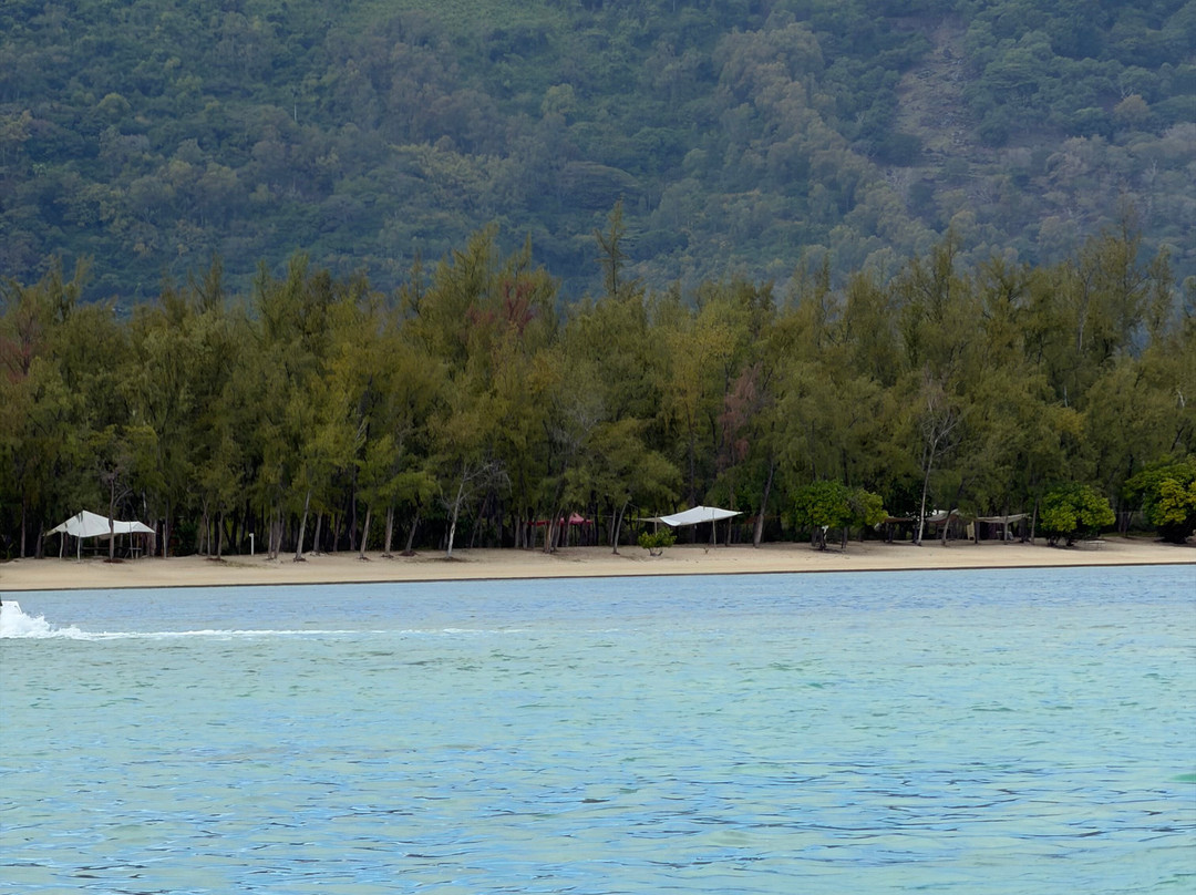 Vitamin Sea Mauritius-黑河必去景点