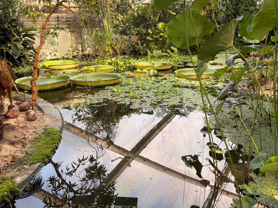 Botanical Garden and the Greenhouses-欧胡斯必去景点