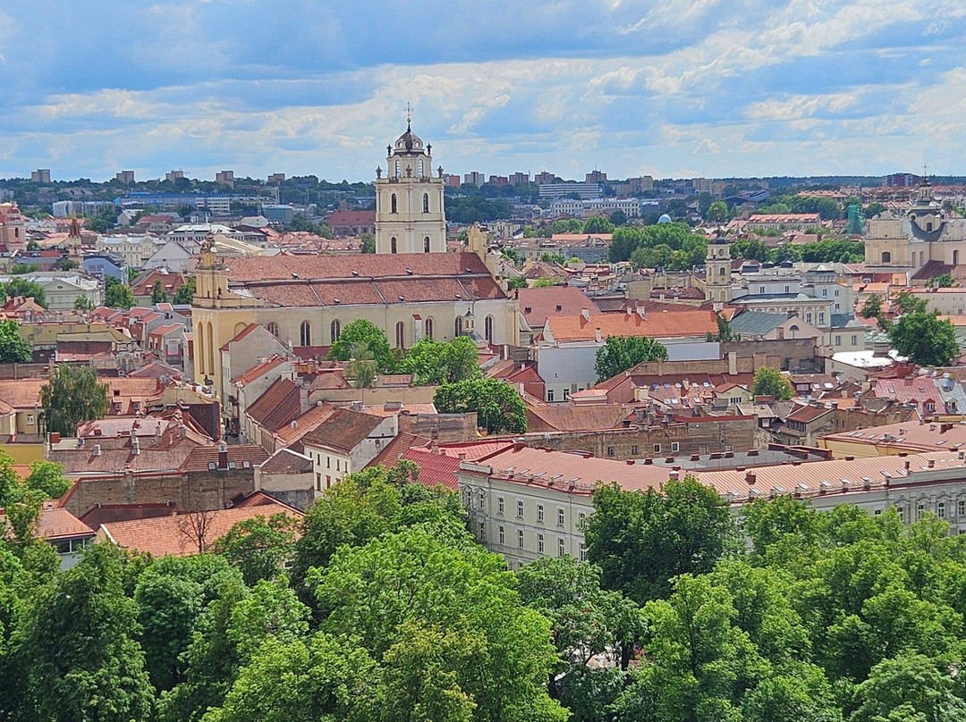 Gediminas Castle Tower-维尔纽斯必去景点