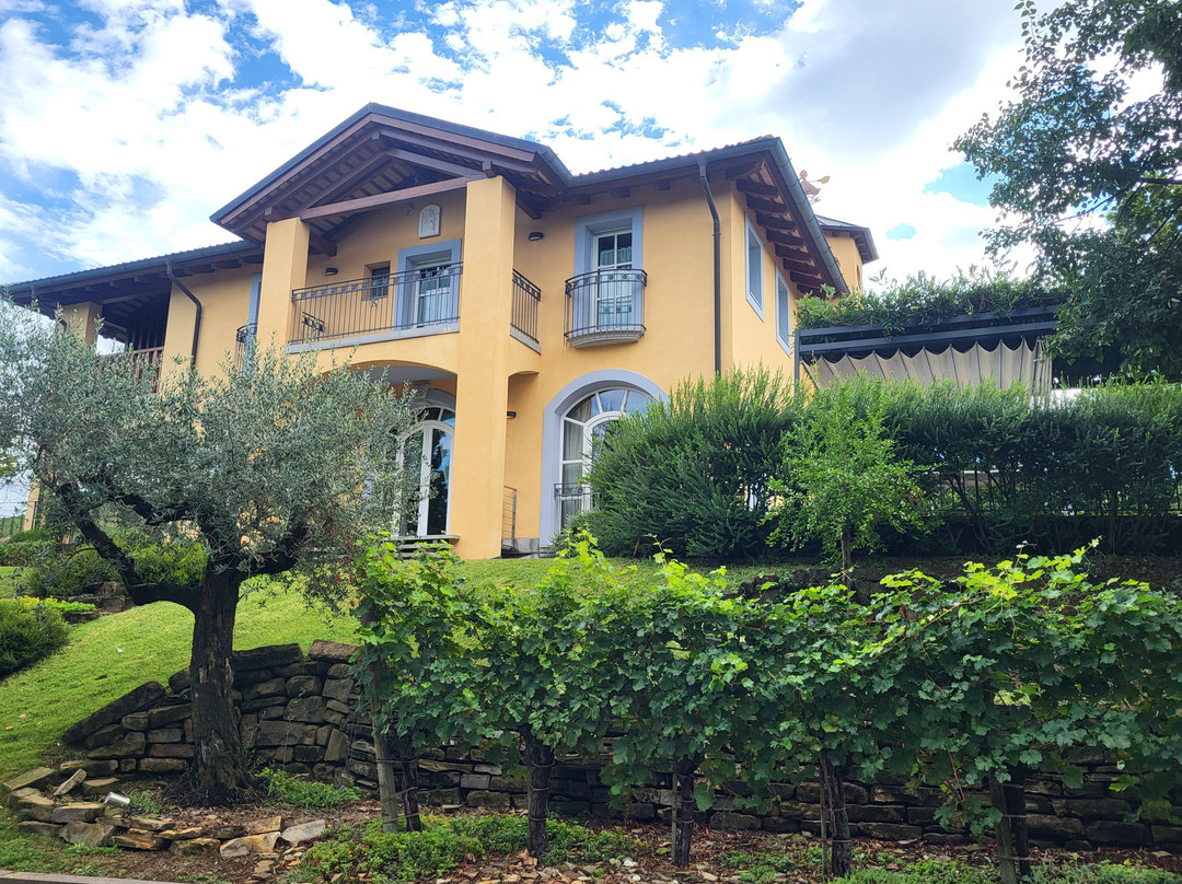 Truss Vinothek Di Silvio Jermann-Dolegna del Collio必去景点