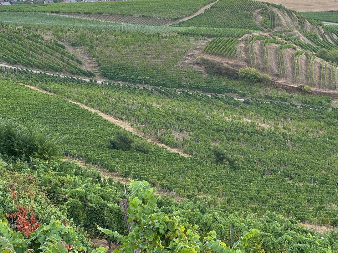 Domaines Schlumberger-盖布维莱尔必去景点