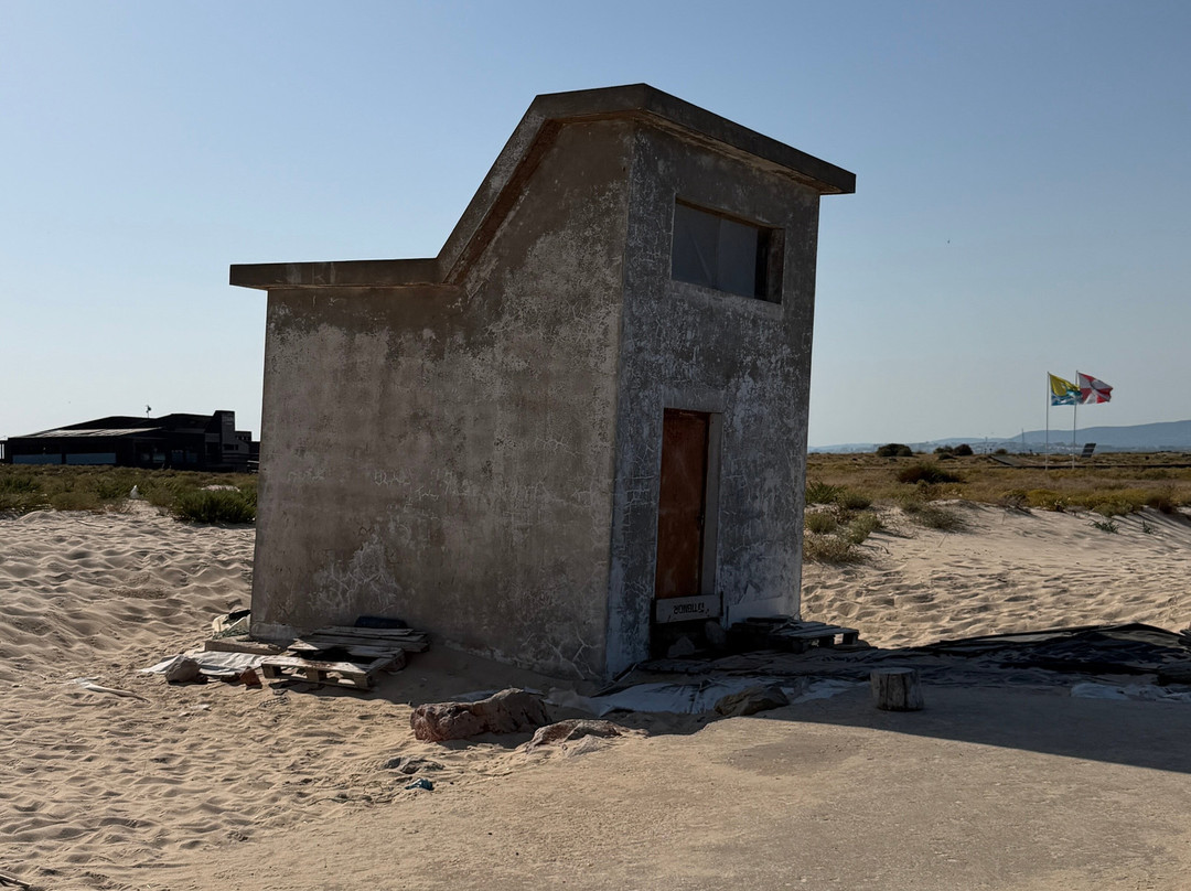 ODYSSEY - Ria Formosa Boat Tours-奥良必去景点