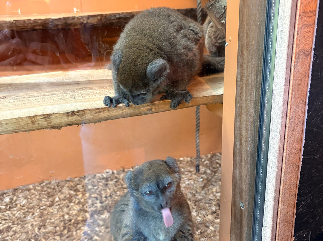 Aalborg Zoologiske Have-奥尔堡必去景点