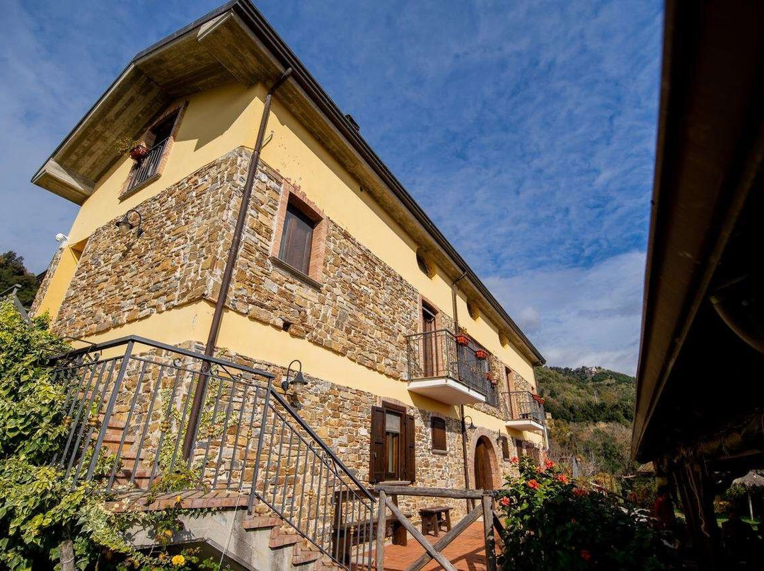 Castelnuovo Cilento酒店住宿-Agriturismo San Basilio