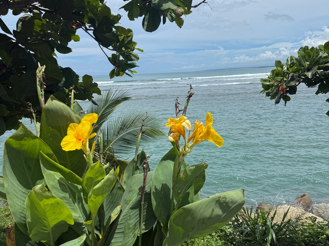 My Costa Rica-圣何塞必去景点