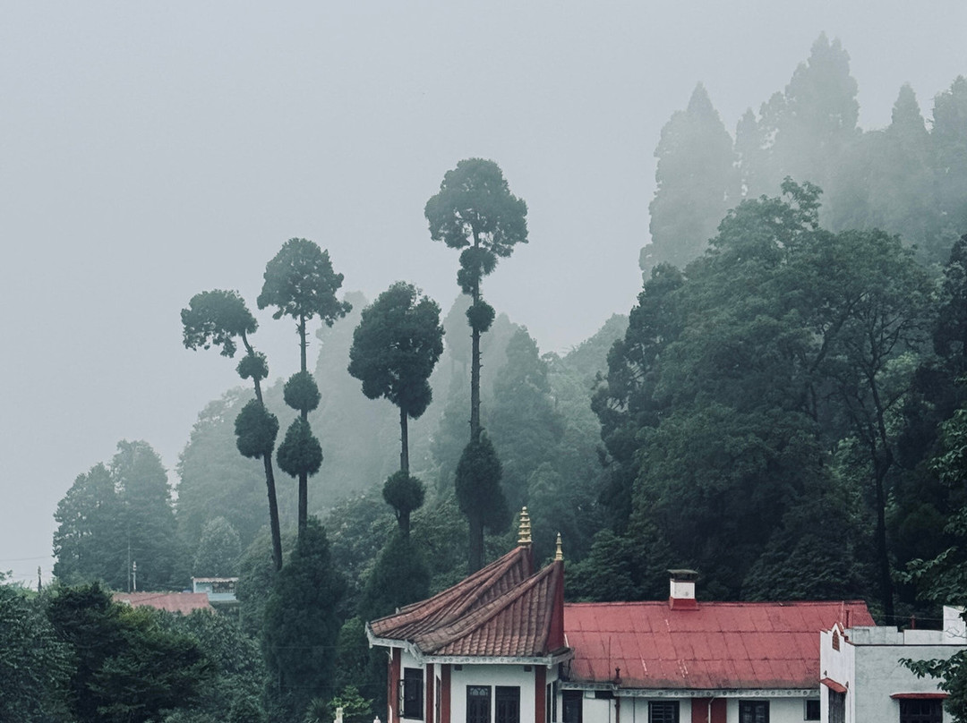 Trust The Locals-Namchi必去景点