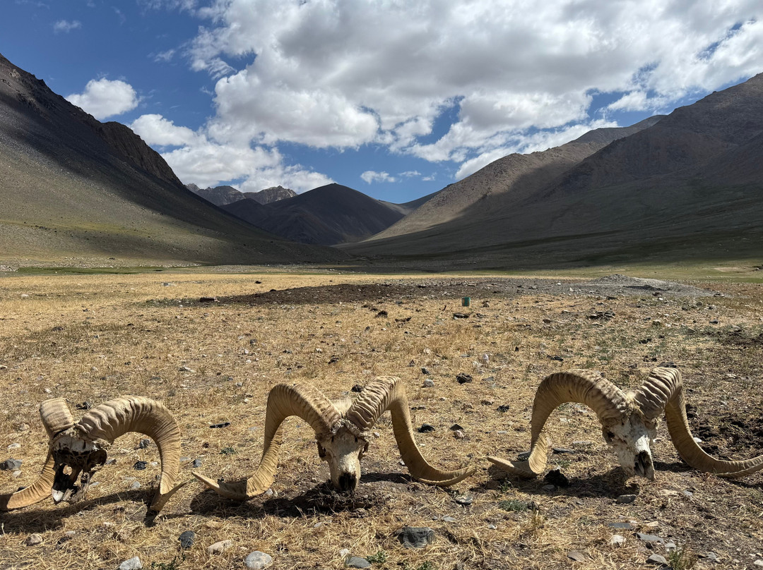 Pamir Guides-Murghab必去景点