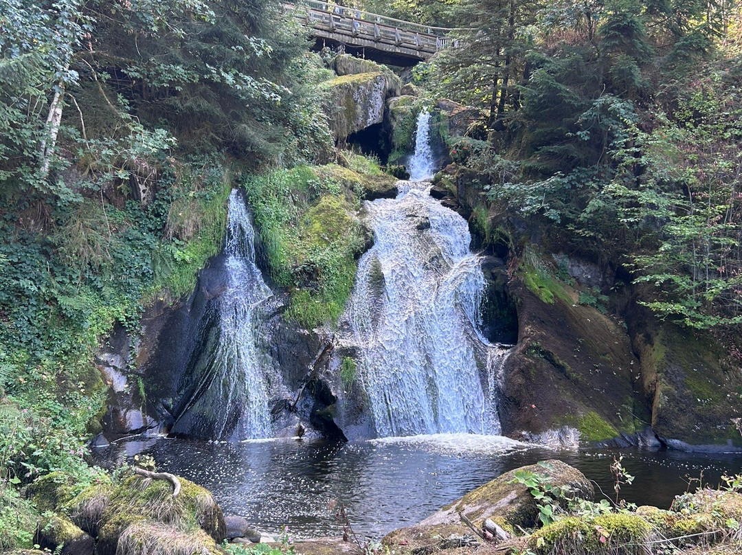 Triberger Waterfall-特里贝格必去景点