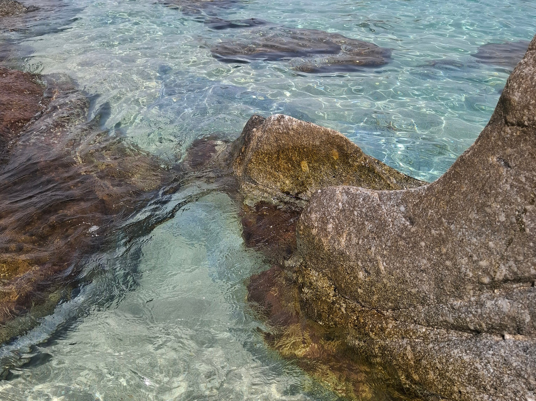 Spiaggia Michelino-Parghelia必去景点
