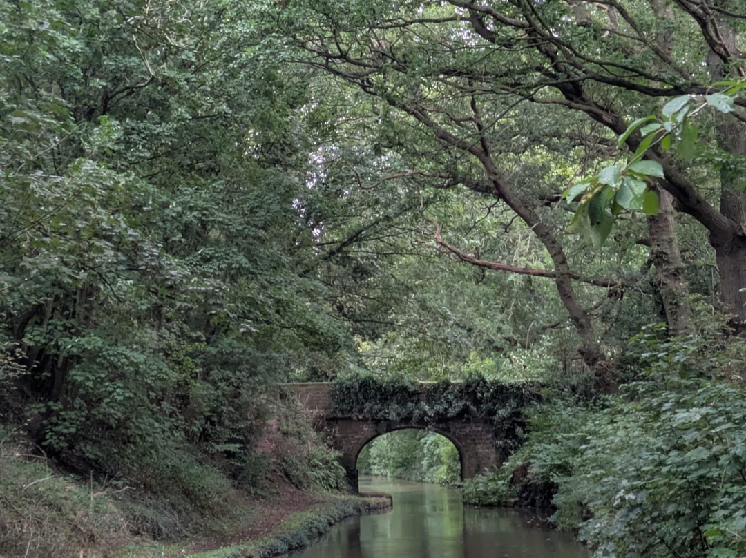 Norbury Wharf Limited-Norbury必去景点