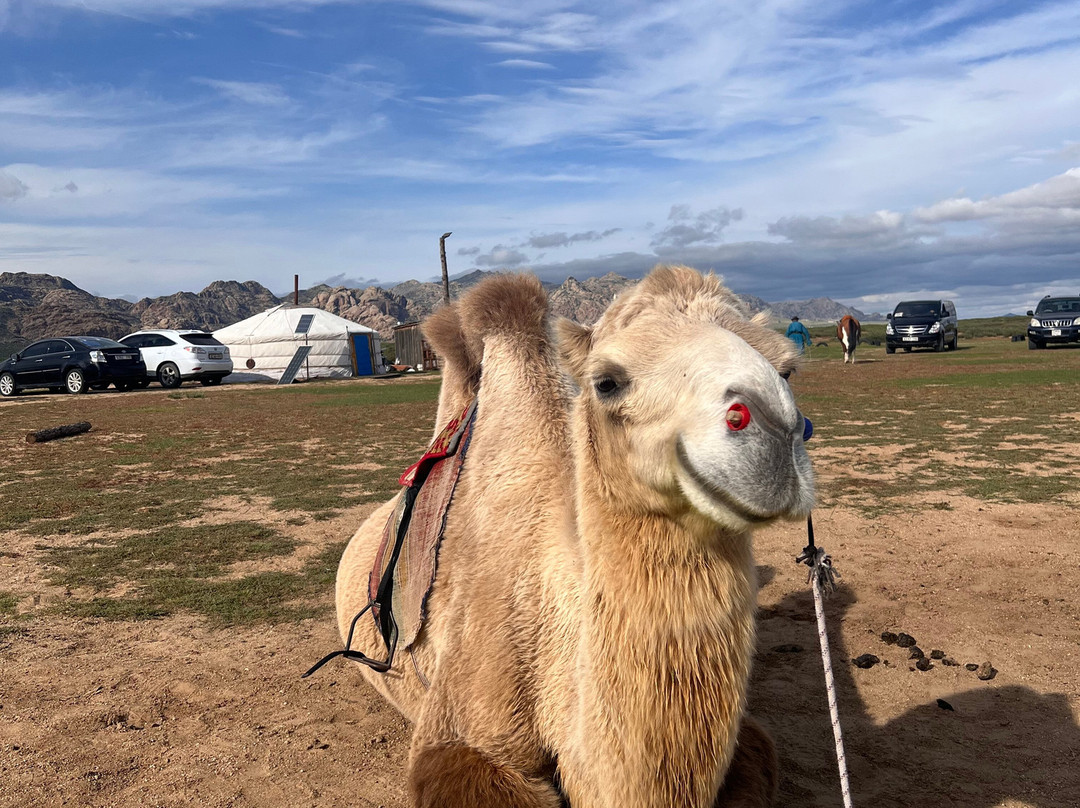 Sunpath Mongolia-乌兰巴托必去景点