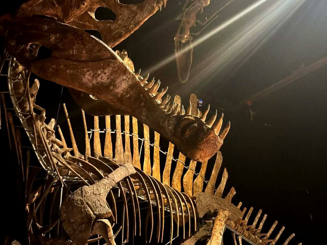 A World of Dinosaurs-卡尔马必去景点