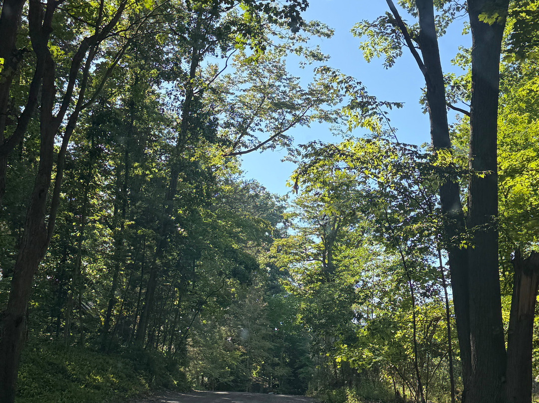 Saugatuck Dune Rides-索格塔克必去景点