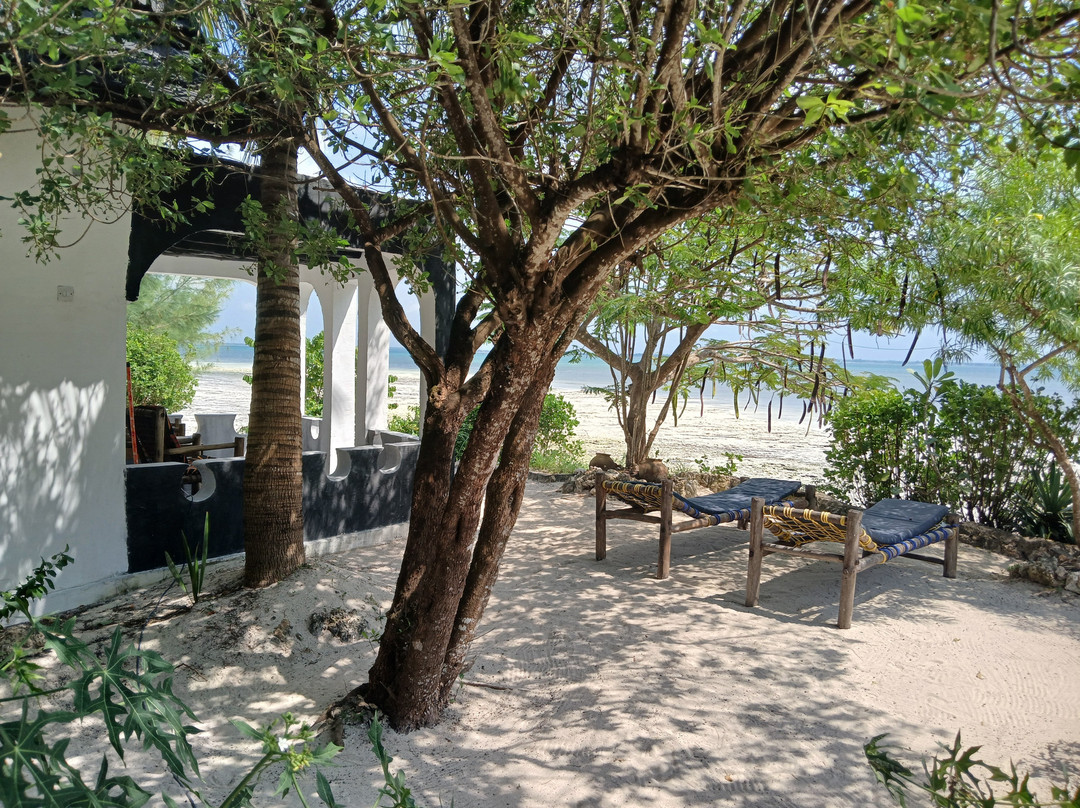 Afya Village