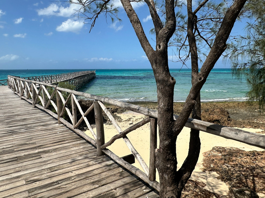 Prison Island - Changuu Private Island-石头城必去景点