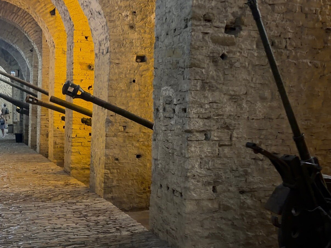 Gjirokaster Castle-吉诺卡斯特必去景点
