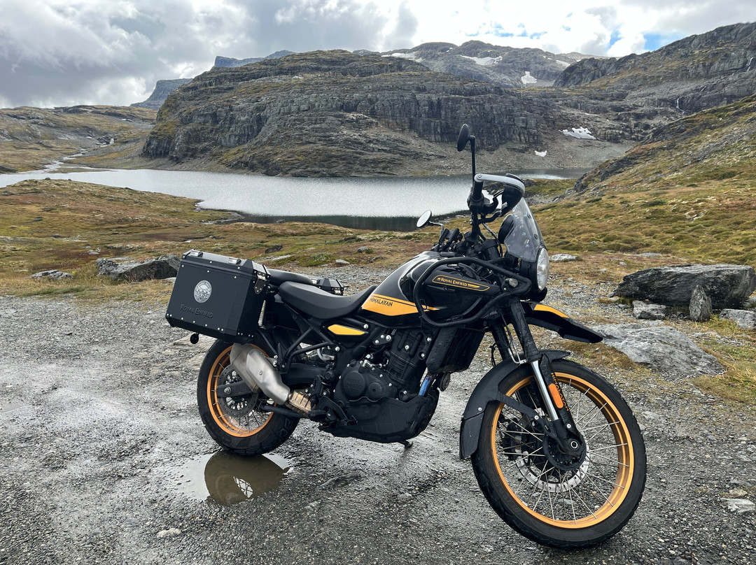 Nordic Riders