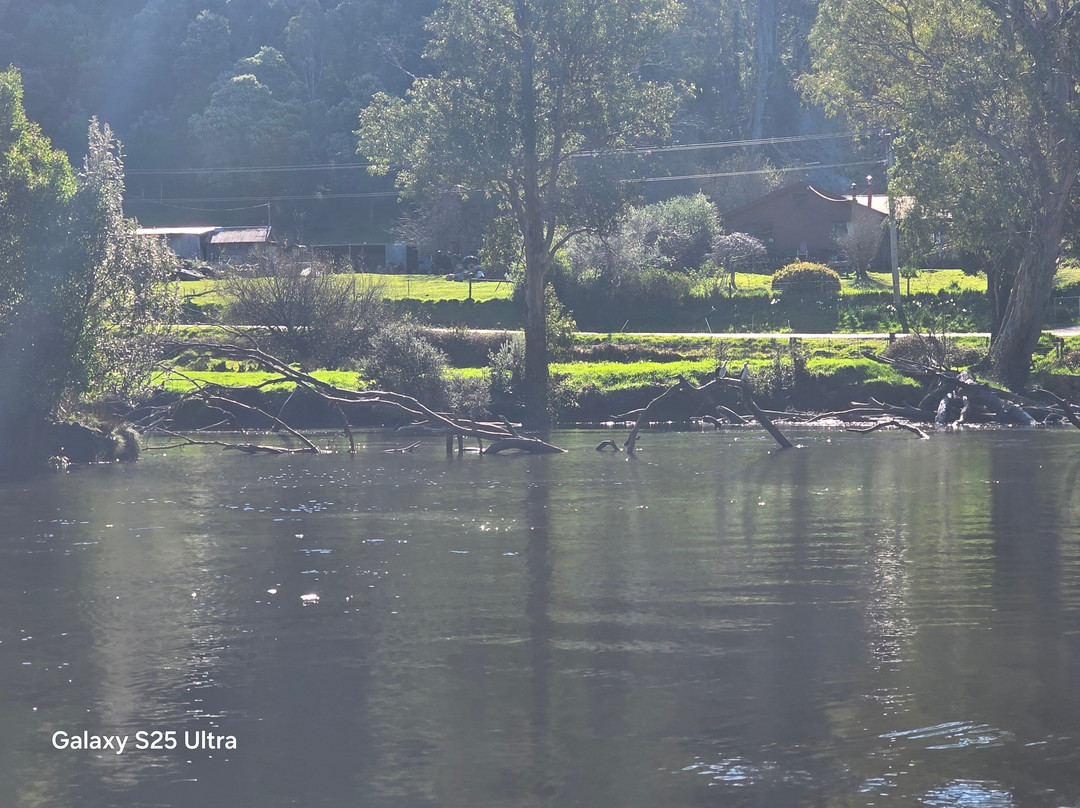 Leven River Cruises-Ulverstone必去景点