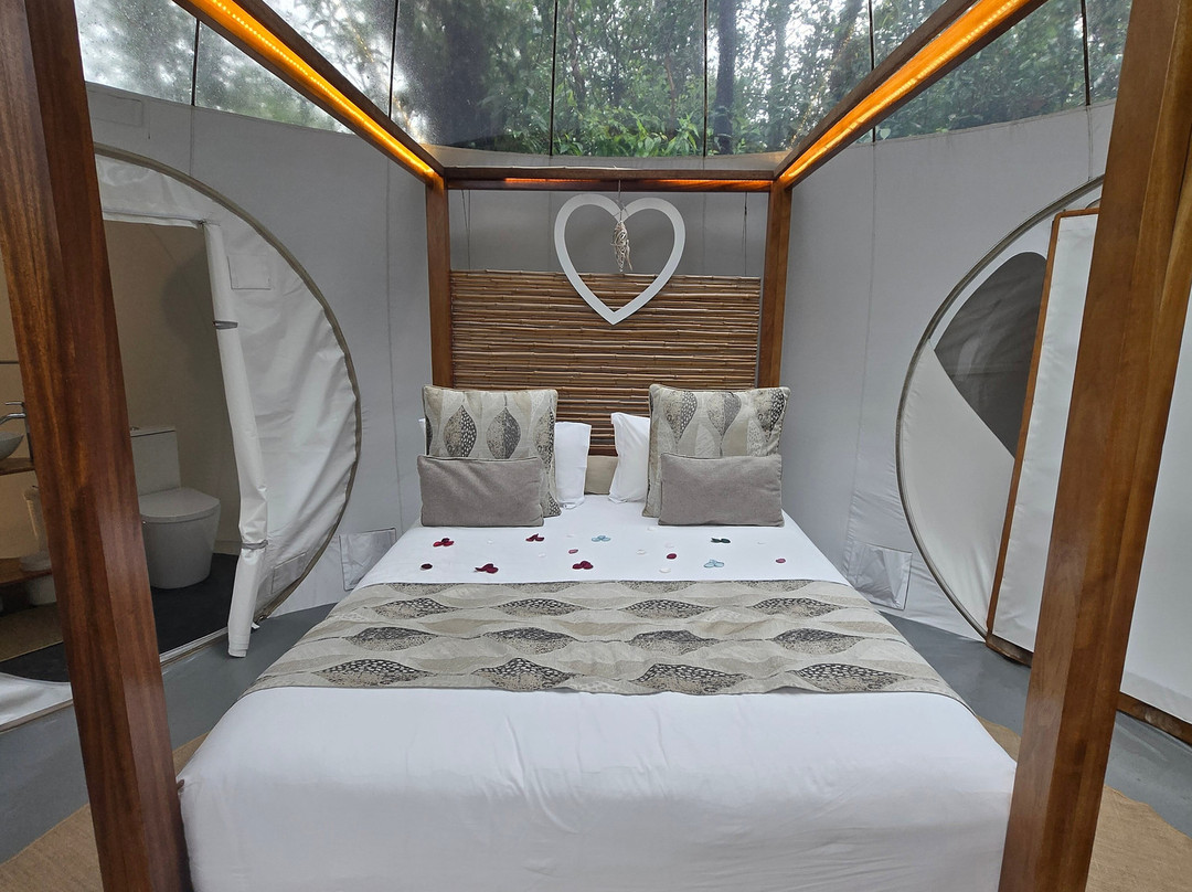布瓦谢里泡泡小屋主图