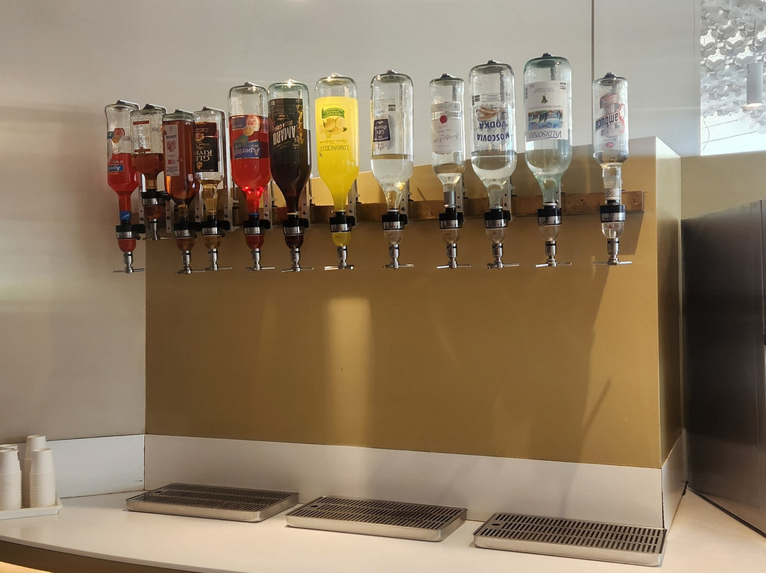 莱昂纳多达芬奇酒店主图