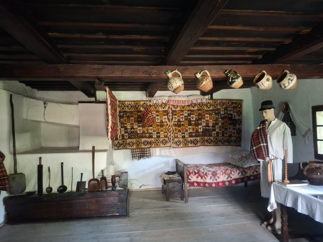 Muzeul Naţional al Satului "Dimitrie Gusti"-布加勒斯特必去景点