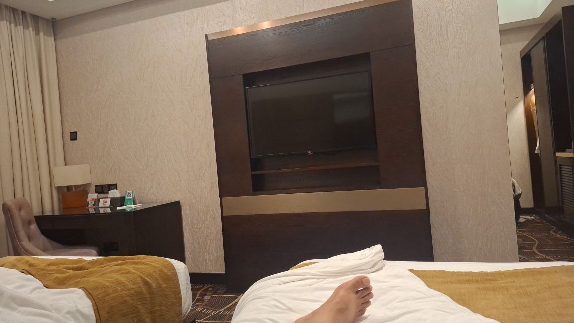 科伦坡柑桔酒店-旅行者