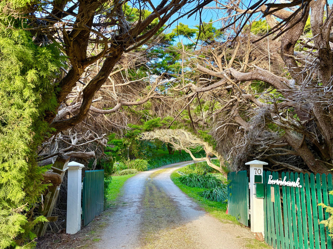 Burnbank Retreat-伯威克必去景点