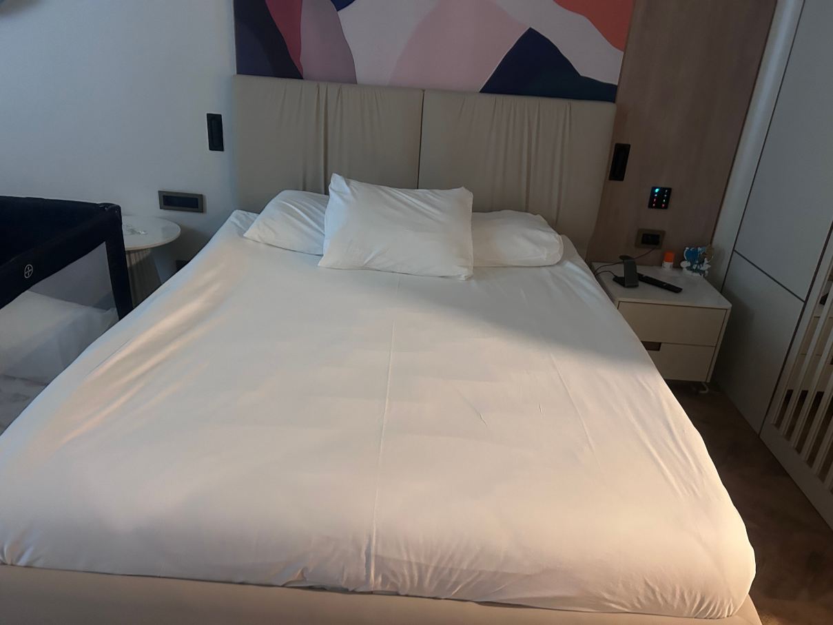 德尔芬迪瓦高级酒店-旅行者