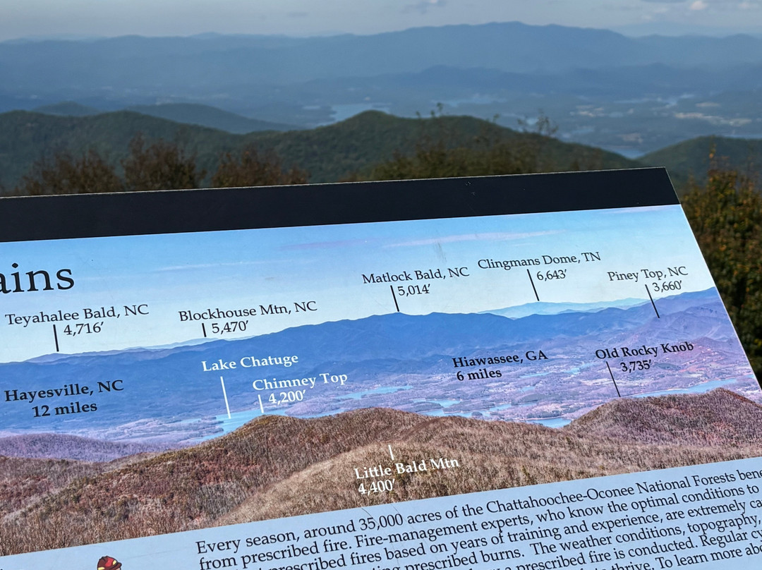 Brasstown Bald Mountain-Blairsville必去景点