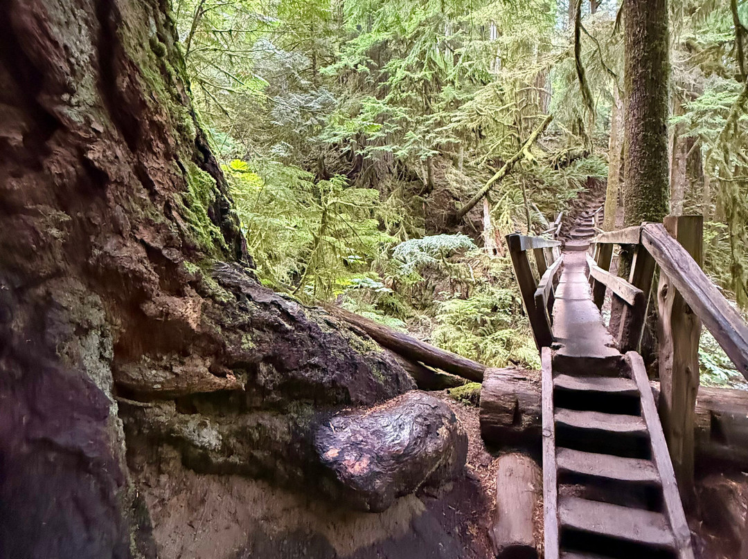 Marymere Falls-安吉利斯港必去景点