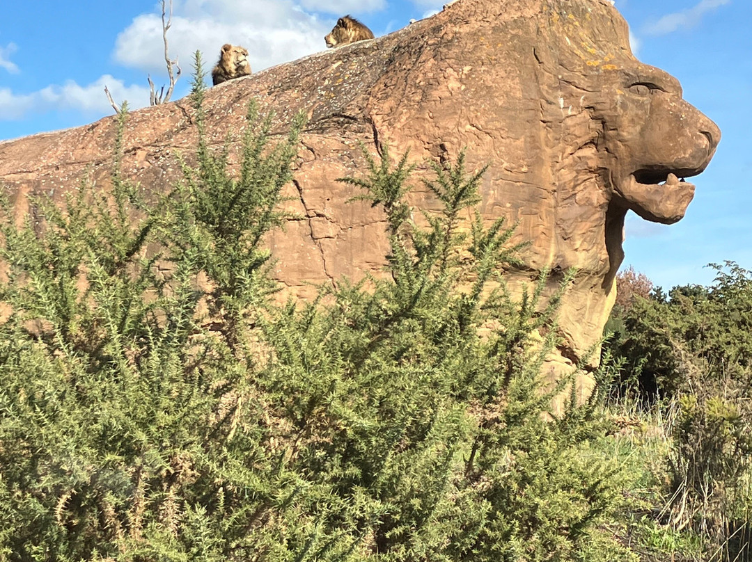 West Midlands Safari Park-Bewdley必去景点