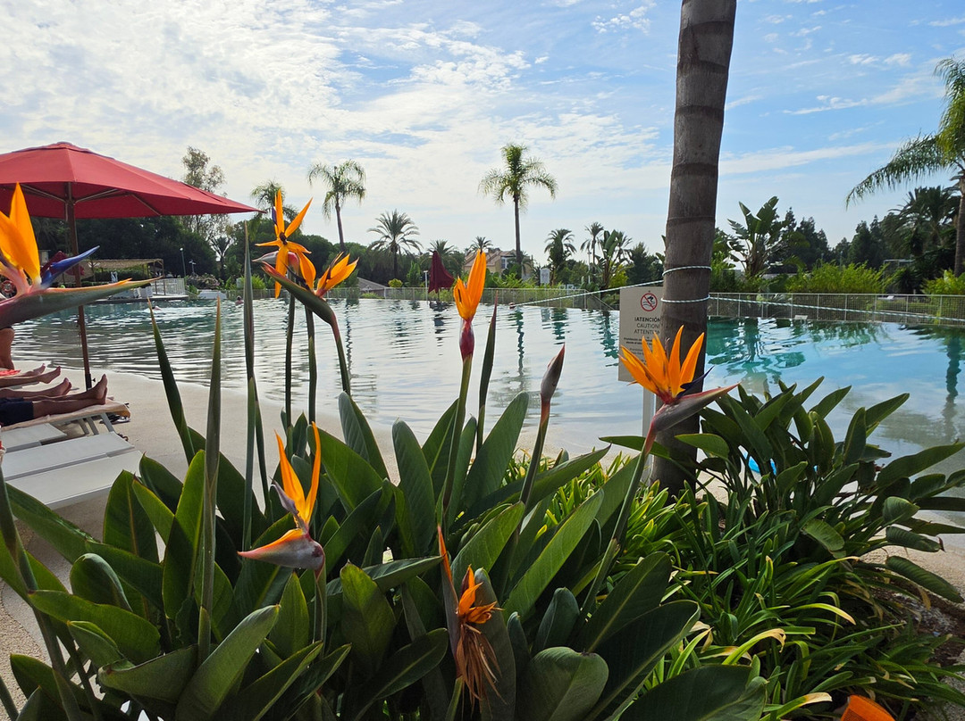 Club Med Magna Marbella主图