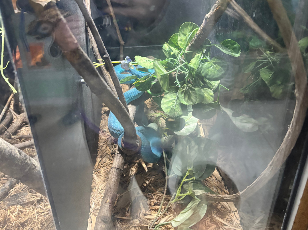 Kentucky Reptile Zoo-Slade必去景点